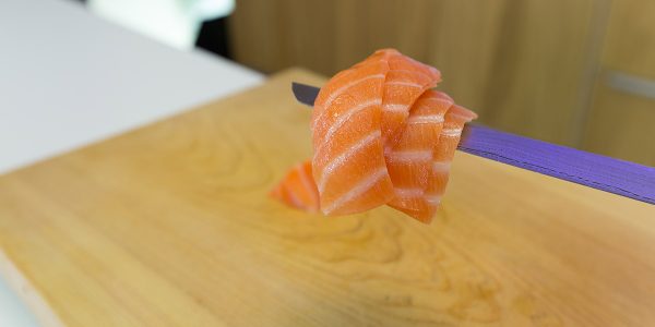 Salmon