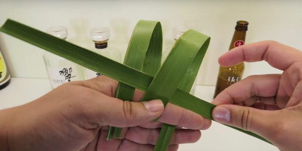 floding a palm leaf like origami