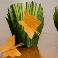 Carrot Butterfly and Cucumber Fans